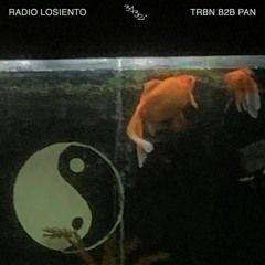 RADIO LOSIENTO : TRBN B2B PAN