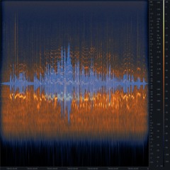 20241228 133425 DE Federsee "Singing" Beavers