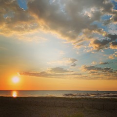 Celebrate, March 14th