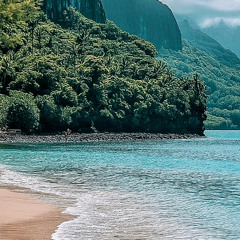 Les Marquises (Paroles Jacques Brel - Remix Reggae)