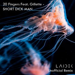 20 Fingers Feat. Gillette - Short Dick Man (Laidek Unofficial Remix)