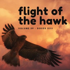 Flight Of The Hawk - A Sexy Beats Creation (DJ Alexy)