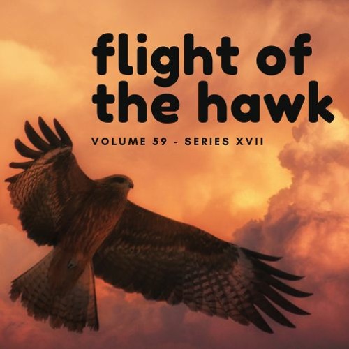Flight Of The Hawk - A Sexy Beats Creation (DJ Alexy)