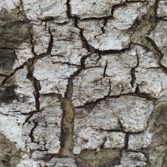 Take Your Hand Off the Wheel