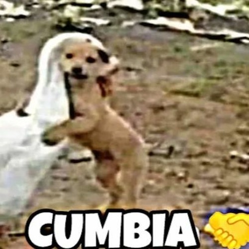 Cumbia De Cria (DOWNLOAD GRATIS)