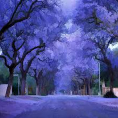 Jacaranda