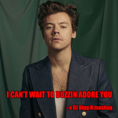I Can't Wait to Buzzin Adore You--Harry Styles vs Mann vs Nu Shooz--DJ Bigg H