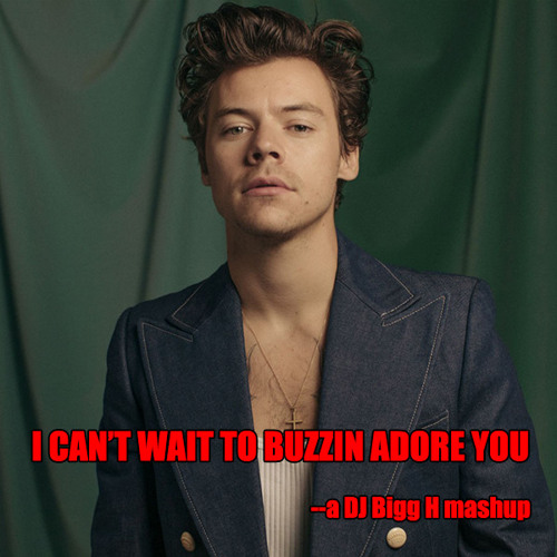 I Can't Wait to Buzzin Adore You--Harry Styles vs Mann vs Nu Shooz--DJ Bigg H