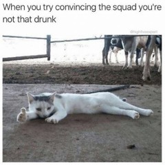 0308 - Softly Solid - 1