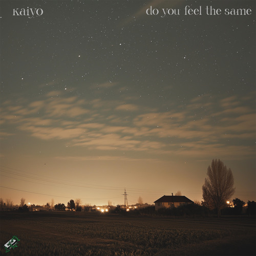 Stream Do You Feel the Same by Kaiyo | Listen online for free on SoundCloud