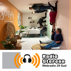 Espace de Vie Sociale MJC Trégunc : interviews