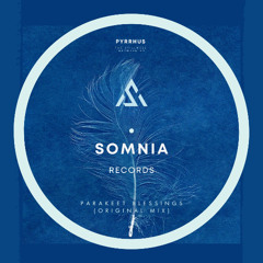 Pyrrhus - Parakeet Blessings Original Mix  (The stillness between EP) 12.12.25 Beatport Exclusive