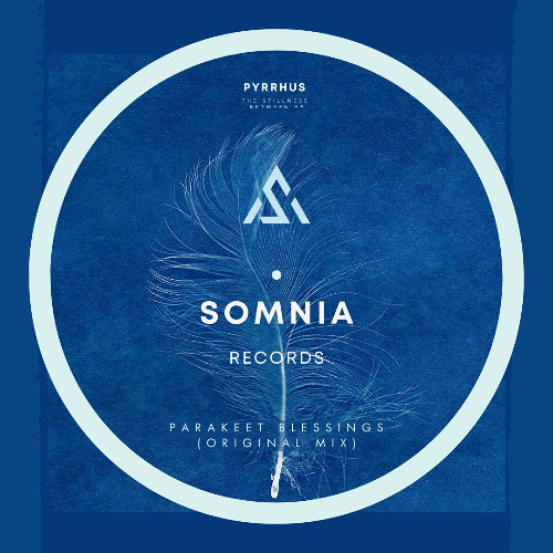 Pyrrhus - Parakeet Blessings Original Mix  (The stillness between EP) 12.12.25 Beatport Exclusive