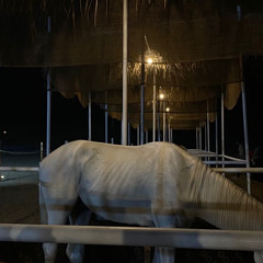 ‎⁨محمد بن فطيس .⁩