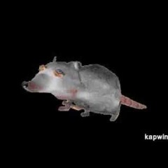 Rats Birthday Mixtape