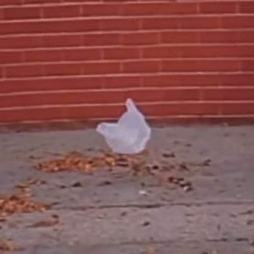 Don't Let It Bring You Down by Neil Young (Late Night Jam)