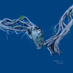 Rooted (Louf's Glass Room Exploration)