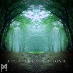 Mfinity - Through the Lens of the Forest