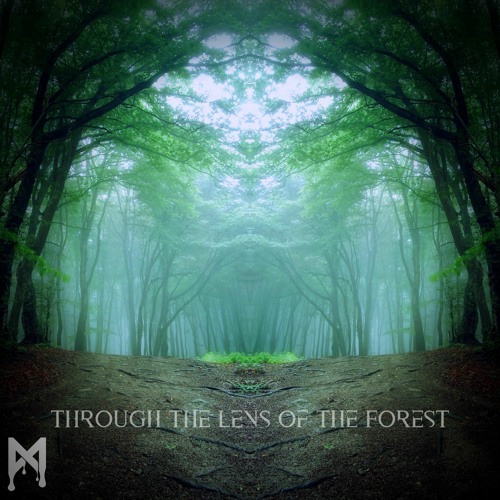 Mfinity - Through the Lens of the Forest