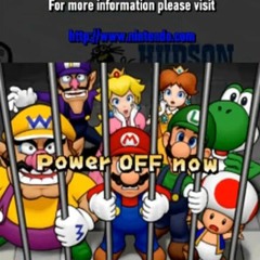 Piracy Is No Party! (DSi Version)