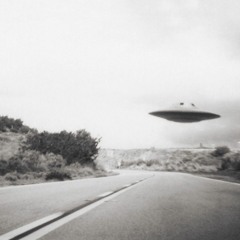 Jungle Mix 12 2021.WAV