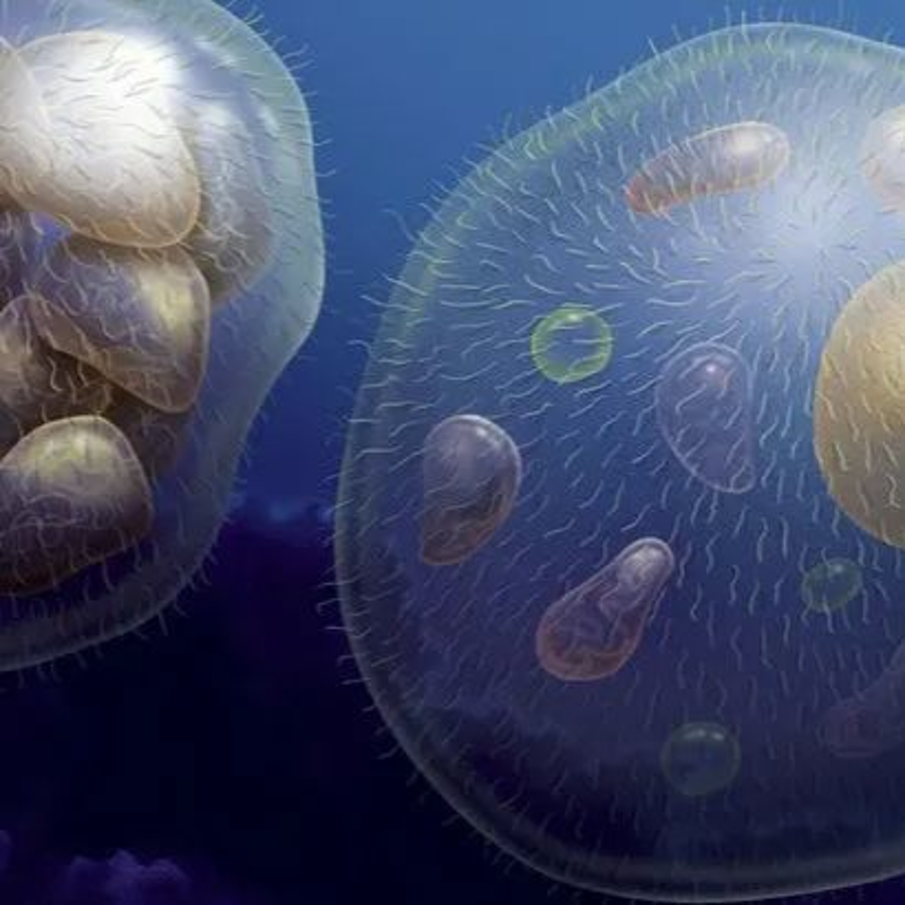 "Dancing Organisms" Jamuary 2024 Week 2 submission Track #1 episode artwork