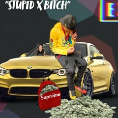 KICK'DOE -STUPIDxBITCH