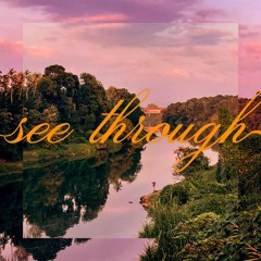 See Through