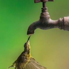 كنت روحى لما كان جوايا روح