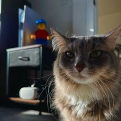 Are Those Memories For You Too?