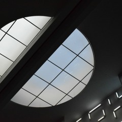 Fallen Down (Undertale banjo and synth cover)