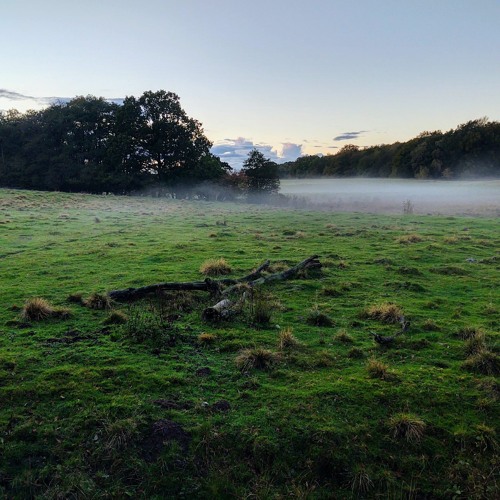 STRSR-Toppis Mix