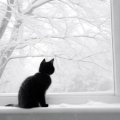 lost winter ⌞2023⌝ (prod wick)