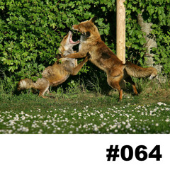 LAF Podcast #064 | Earl Orlog