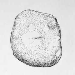 Die Mühlen der Zivilisation. Ein Gespräch mit James C. Scott