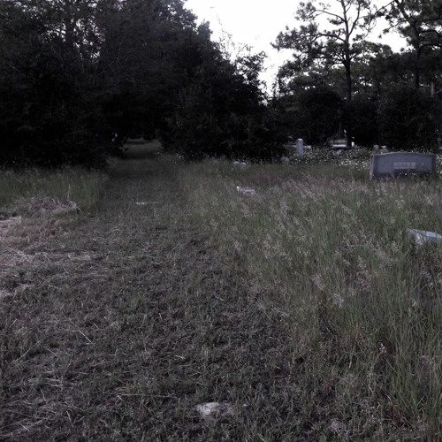 The Aches Of Dread Replace My Bones