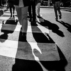 SHADOWS