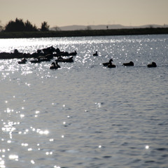χαλάλι μας το δουλειά