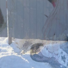 snowed in ࿐ ࿔*:･ﾟ (qweshkka)