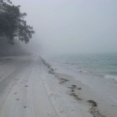 floral - climbing a wall