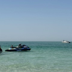 hobooo6
