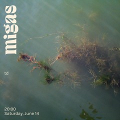 td at migas 14.06.25