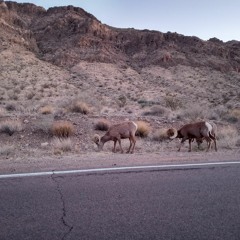 We Will All Turn To Smoke