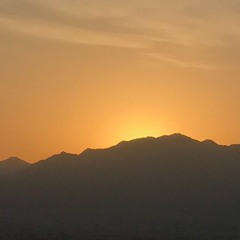 العربية