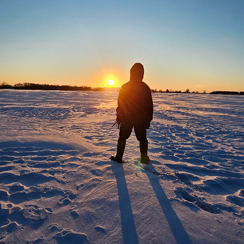 the shadow of a twin
