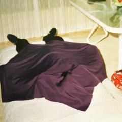 P$C - IMGETTINGTIRED (509EP)