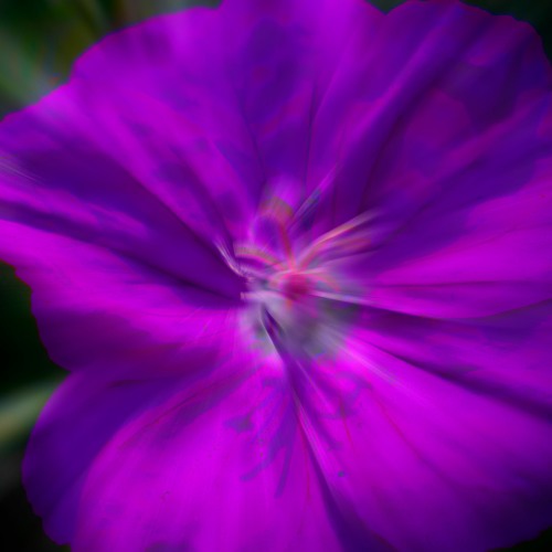 Climbing Into Summer