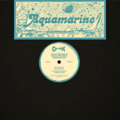 Trent Voyage ft. Elena Moroder - Aquamarine (Reza's 'It's Not A Dream' Edit)