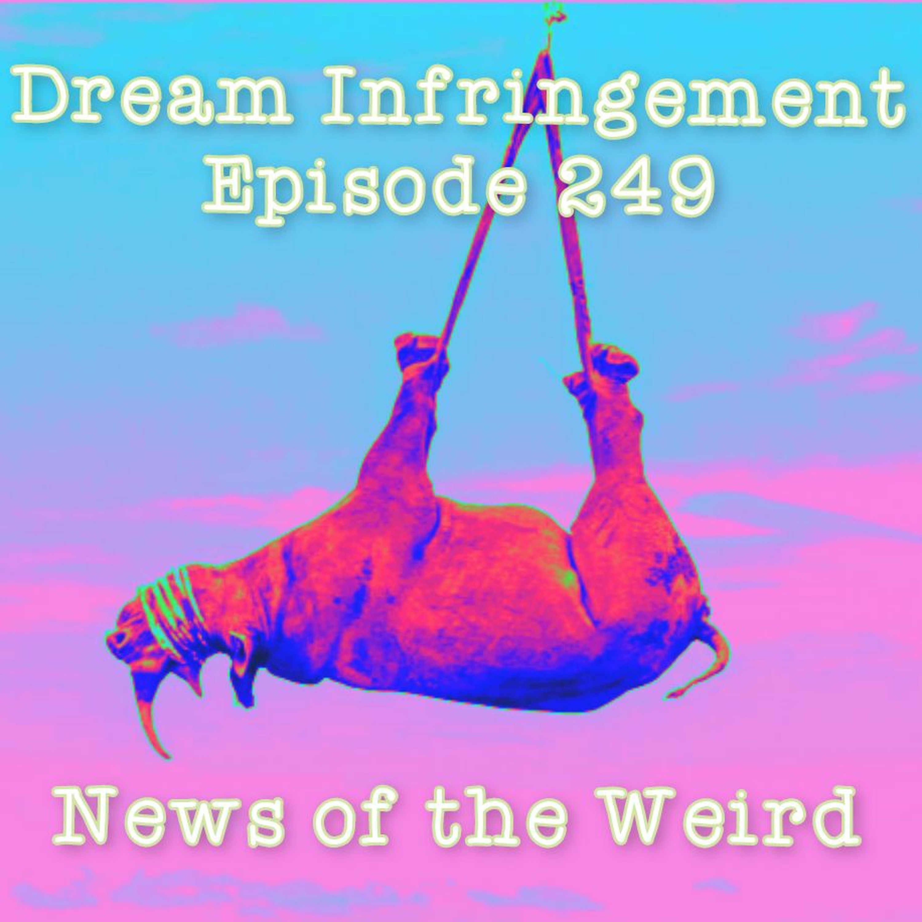 Dream Infringement 249 episode artwork