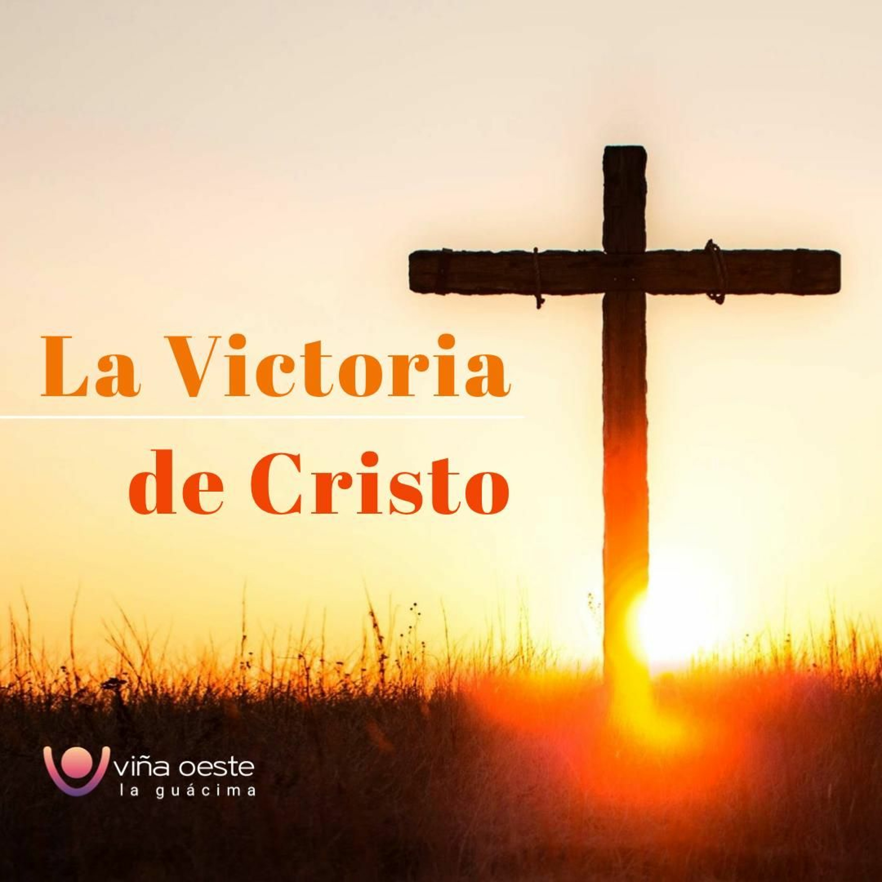 Viña Oeste La Guácima